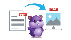 PDF to JPG