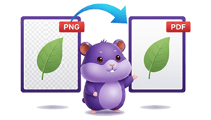 PNG to PDF