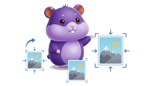 Resize Images