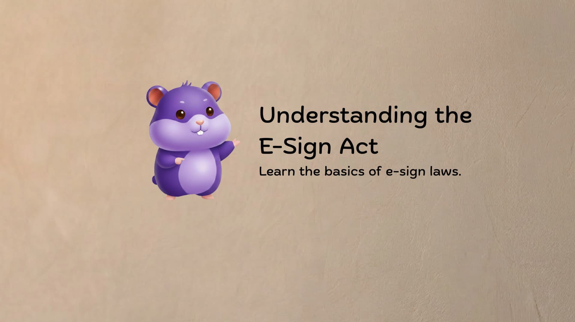 What Is the ESIGN Act? E-Signature Compliance Explained